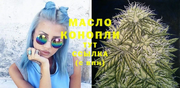 шишки Медвежьегорск