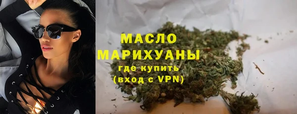 индика Михайлов