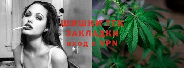 шишки Медвежьегорск