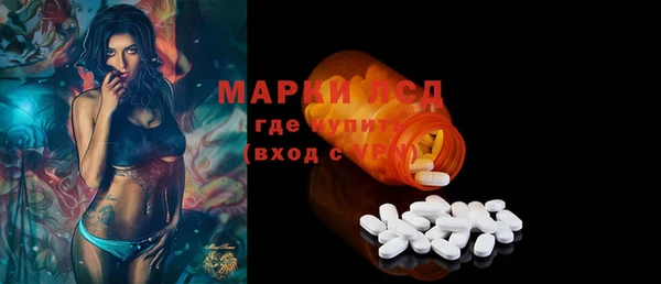 шишки Медвежьегорск