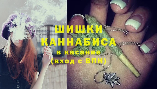 шишки Медвежьегорск
