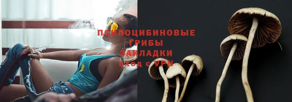 мяу мяу кристалл Медногорск