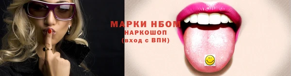 индика Михайлов