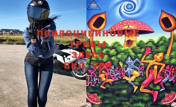 шишки Медвежьегорск