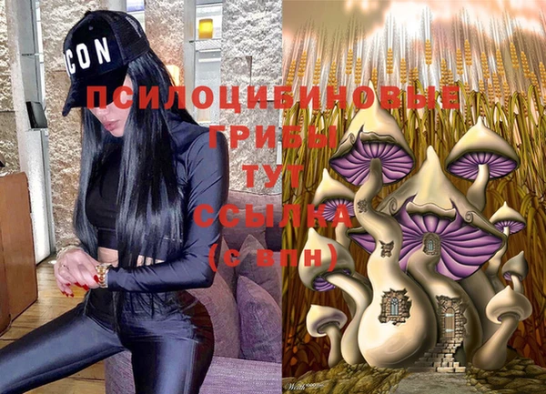 прущий лед Мегион