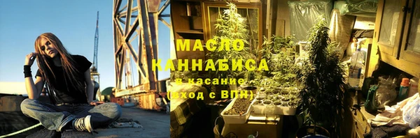 шишки Медвежьегорск