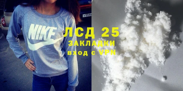 шишки Медвежьегорск