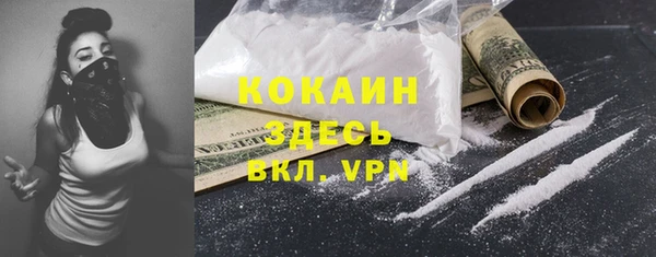 шишки Медвежьегорск