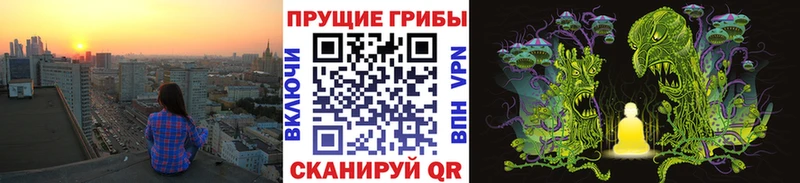 Галлюциногенные грибы мицелий  kraken вход  Туран 